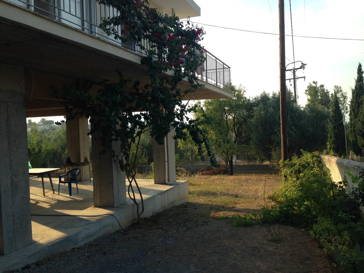 Dimitri's House Country house Dhilesi